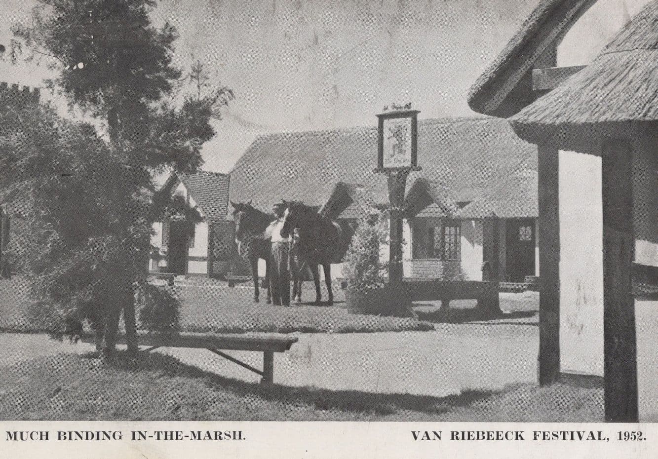 Much Binding In The Marsh Van Reibeeck Festival 1952 German Postcard