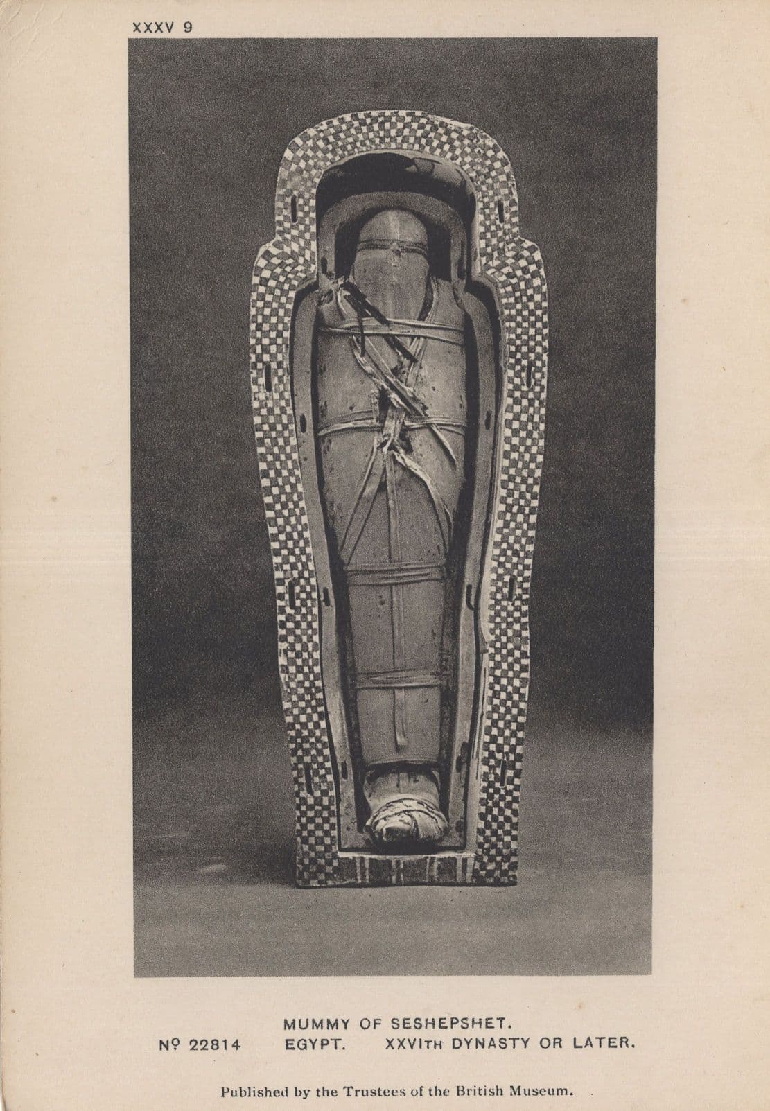 Mummy of Seshepshet Egyptian Vintage London Museum Postcard