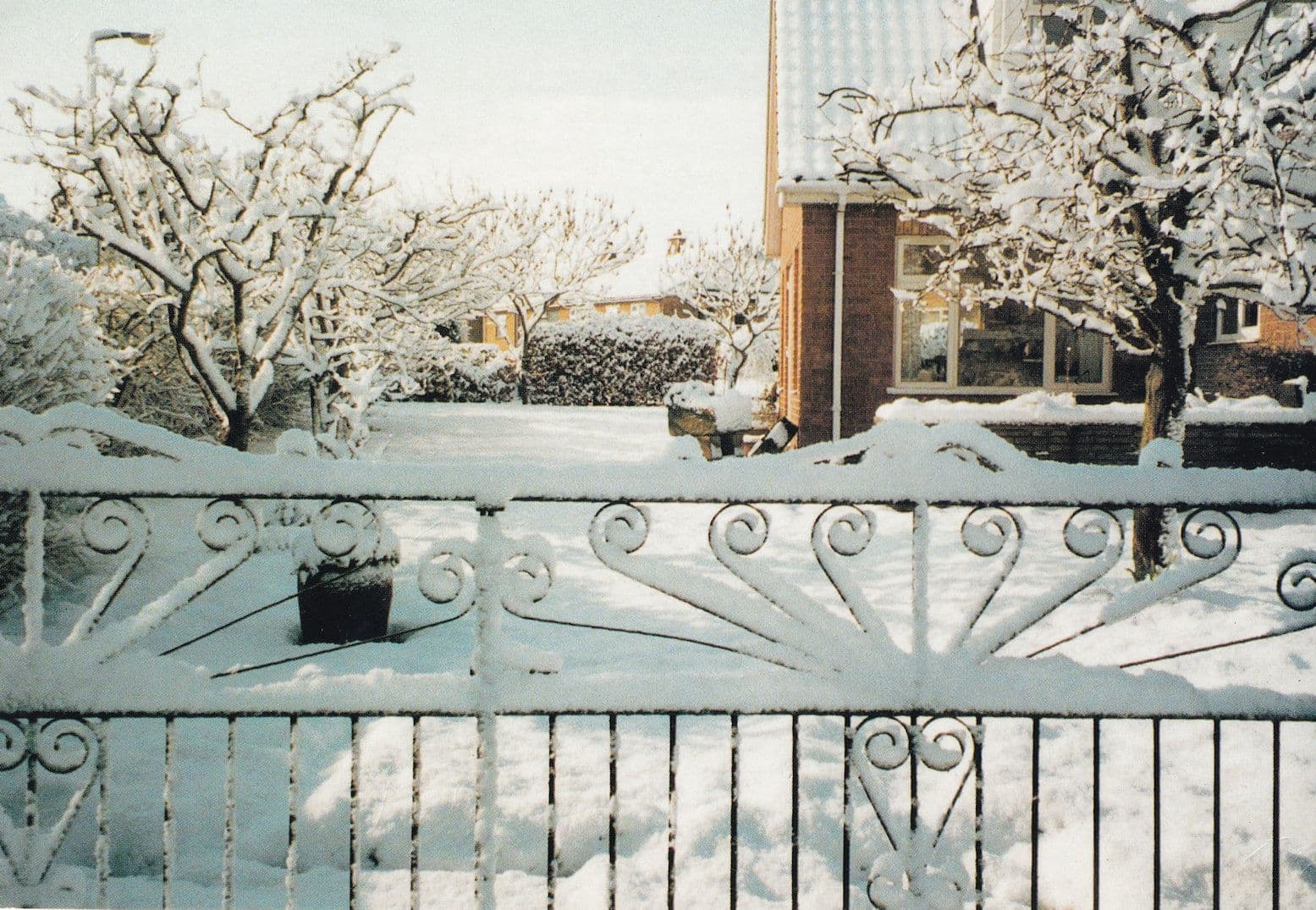 My Alburgh Garden At Christmas Winter Disaster Weather Rare Norfolk Postcard