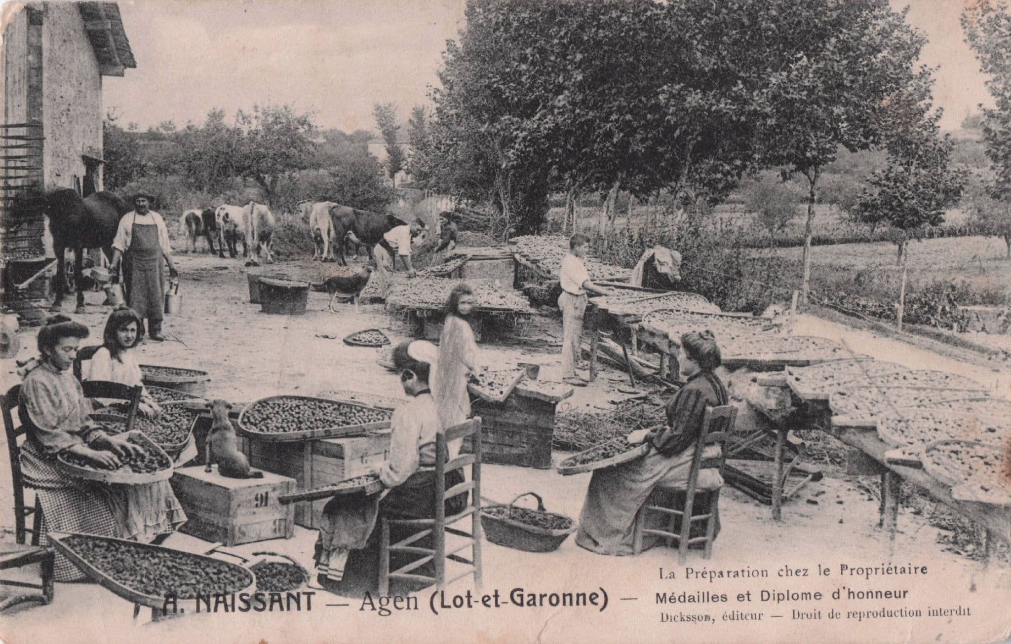 Naissant Agen Lot Et Garonne Sa Preparation French Old Postcard