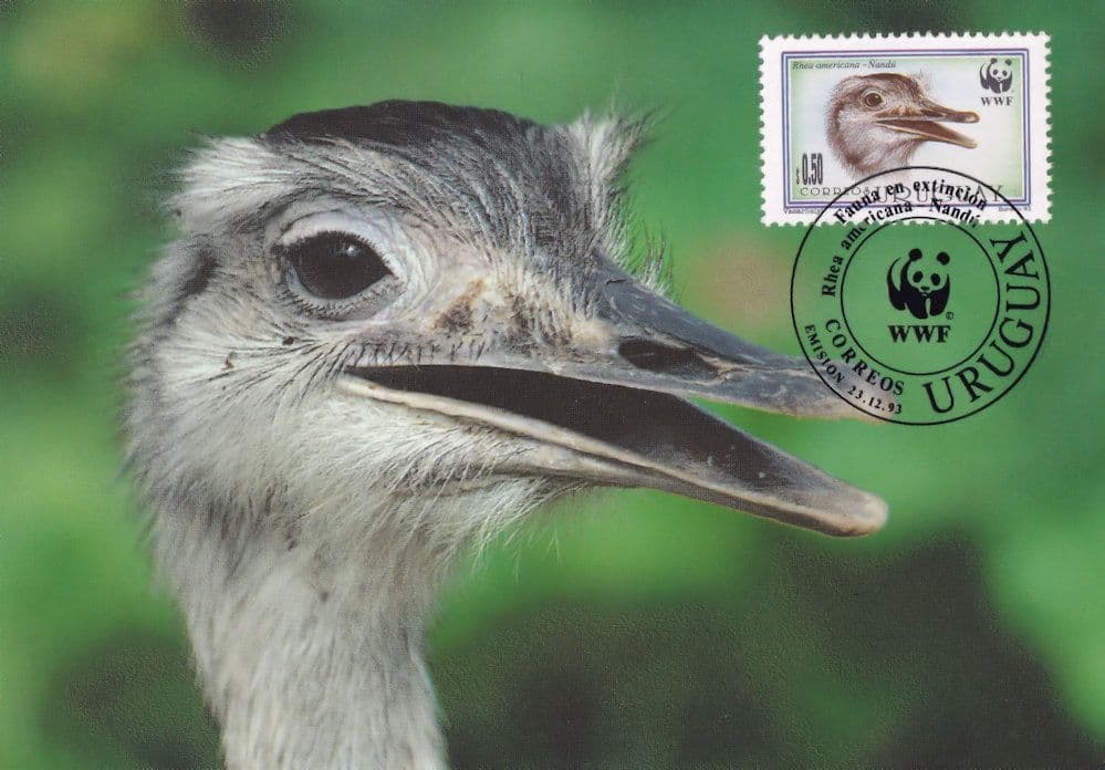 Nandu Bird Uruguay WWF Stamp Limited First Day Cover Postcard