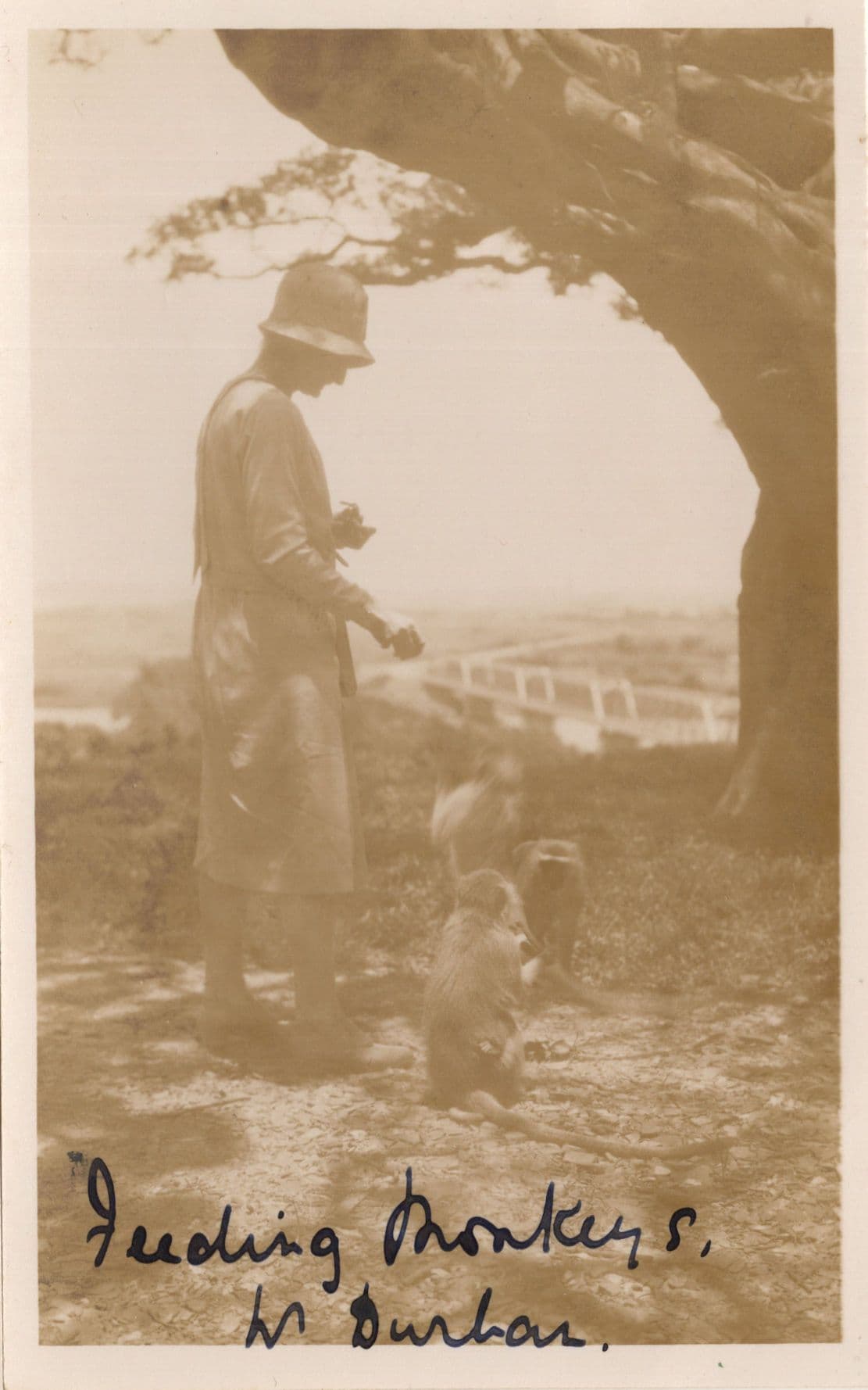 Native Feeding Baby Monkeys in South Africa Antique Photo Postcard