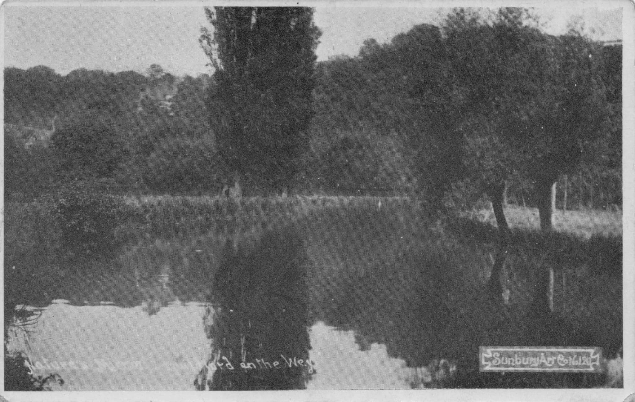 Nature's Mirror on River Wey Guildford Surrey Real Photo Postcard