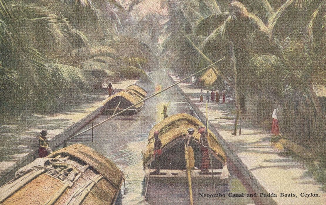 Negombo Canal India Antique Ceylon Boat Postcard