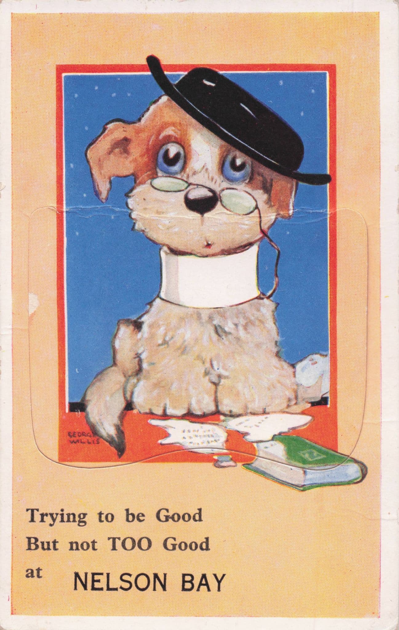 Nelson Bay NSW Australia Posh Dog RARE Old Mailing Novelty Postcard