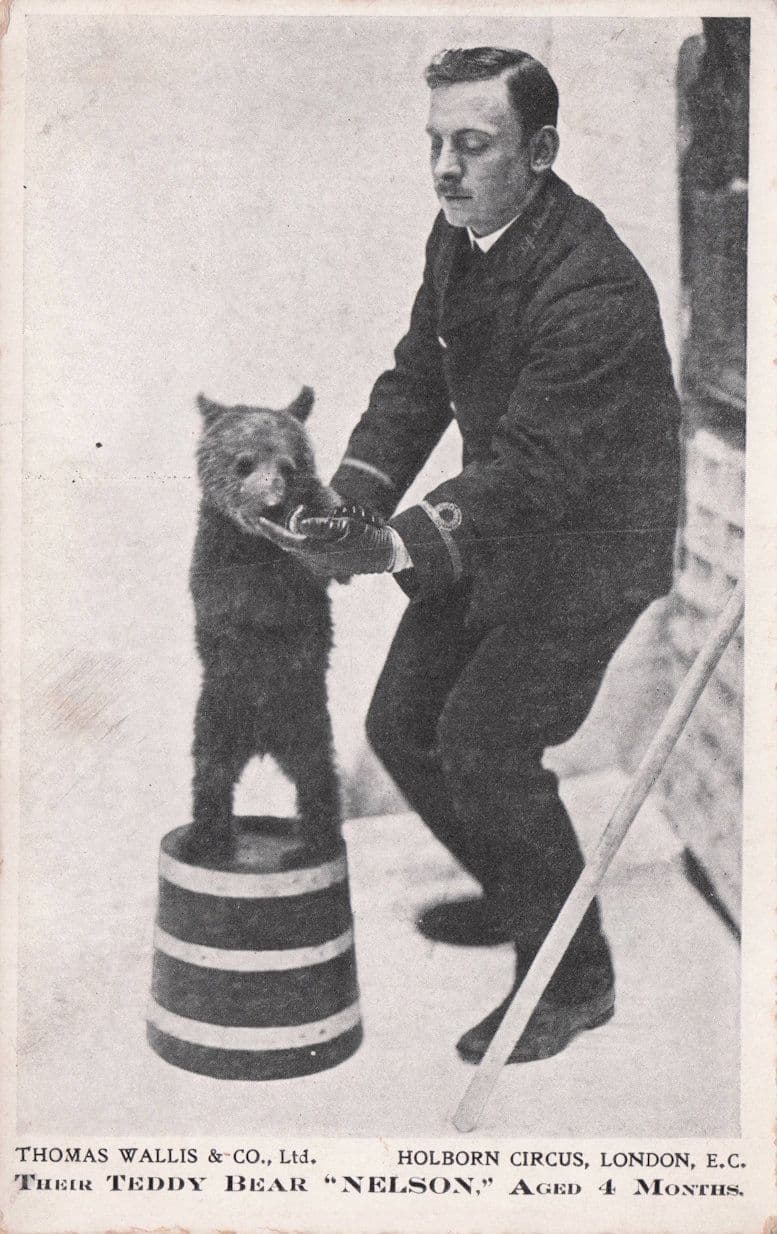 Nelson Holburn Circus Performing Baby Animal Bear London Antique Postcard