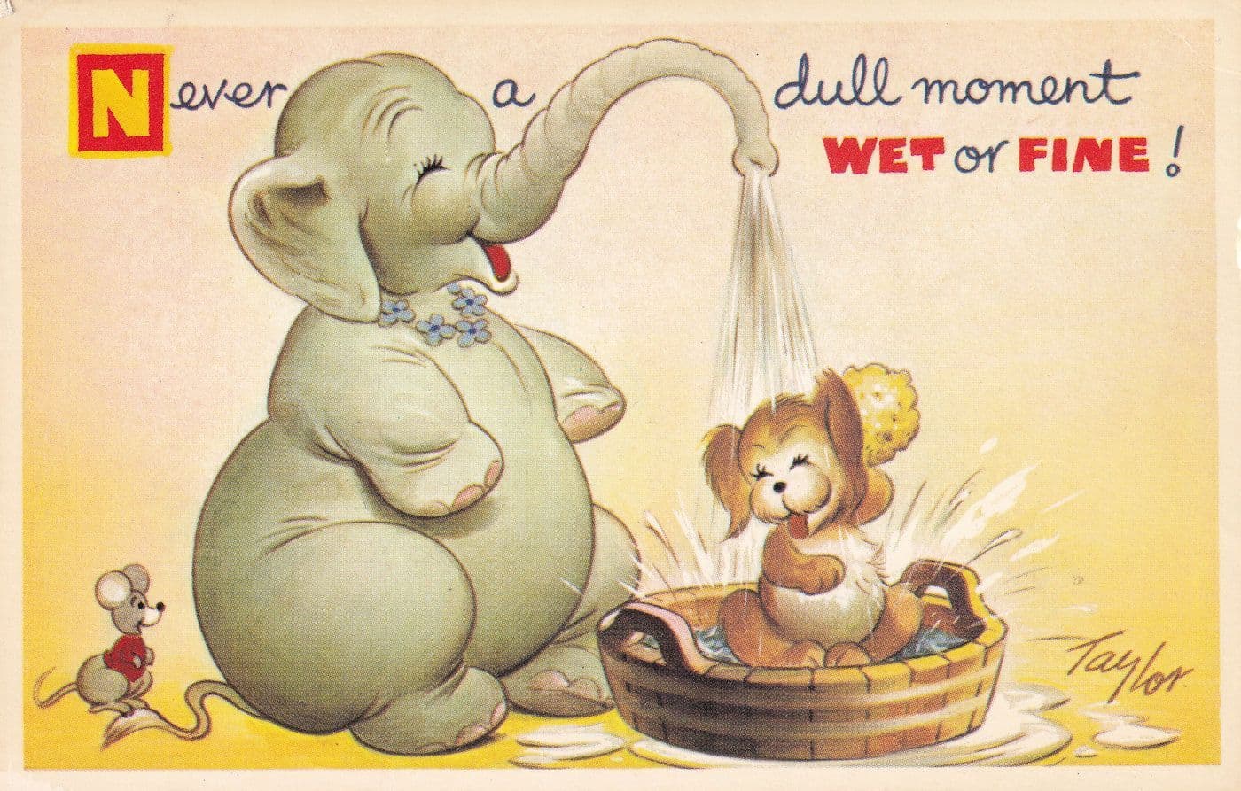 Never A Dull Moment Dumbo Style Elephant Washing Dog Cute Postcard