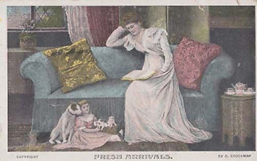 New Arrivals Puppy Puppies Being Born Antique Postcard