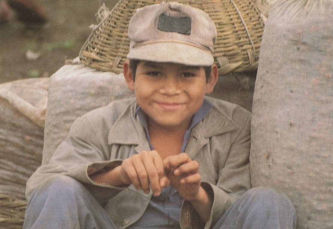 Nicuragua American Child Coffee Picker Farming Crafts Postcard