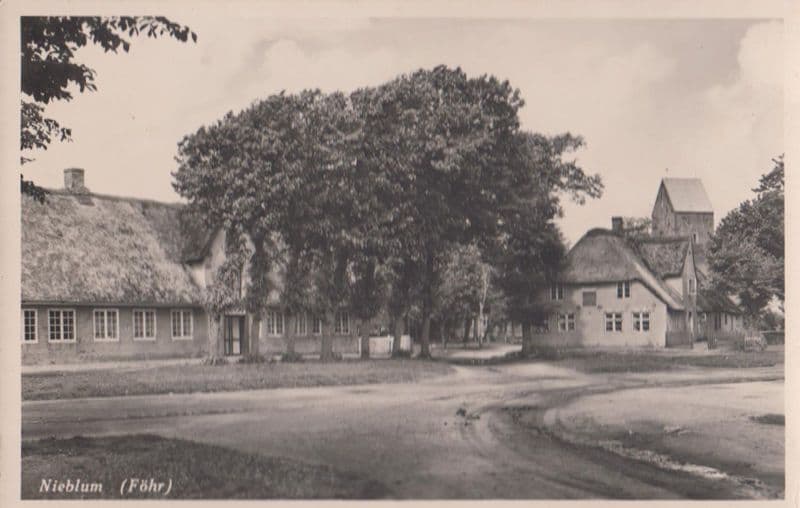 Nieblum Fohr German Antique Postcard