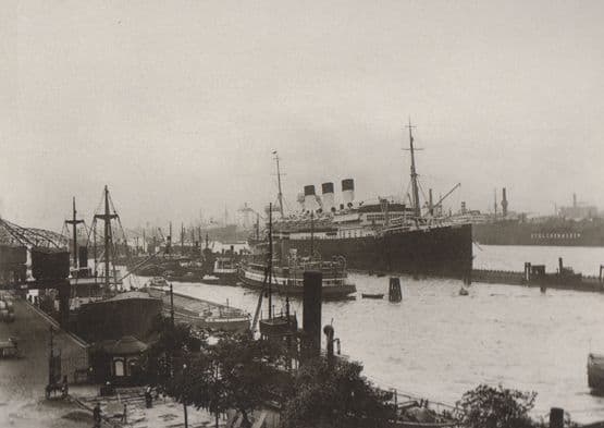 Niederhafen Mit Zollgrenze Reproduction German Postcard