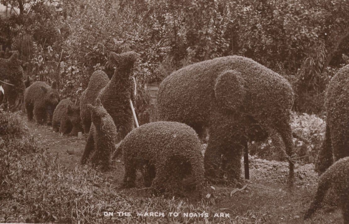 Noahs Arc Antique Scottish Procession Of Animal Hedge Real Photo Postcard