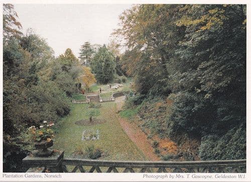 Norfolk Plantation Gardens Norwich Postcard