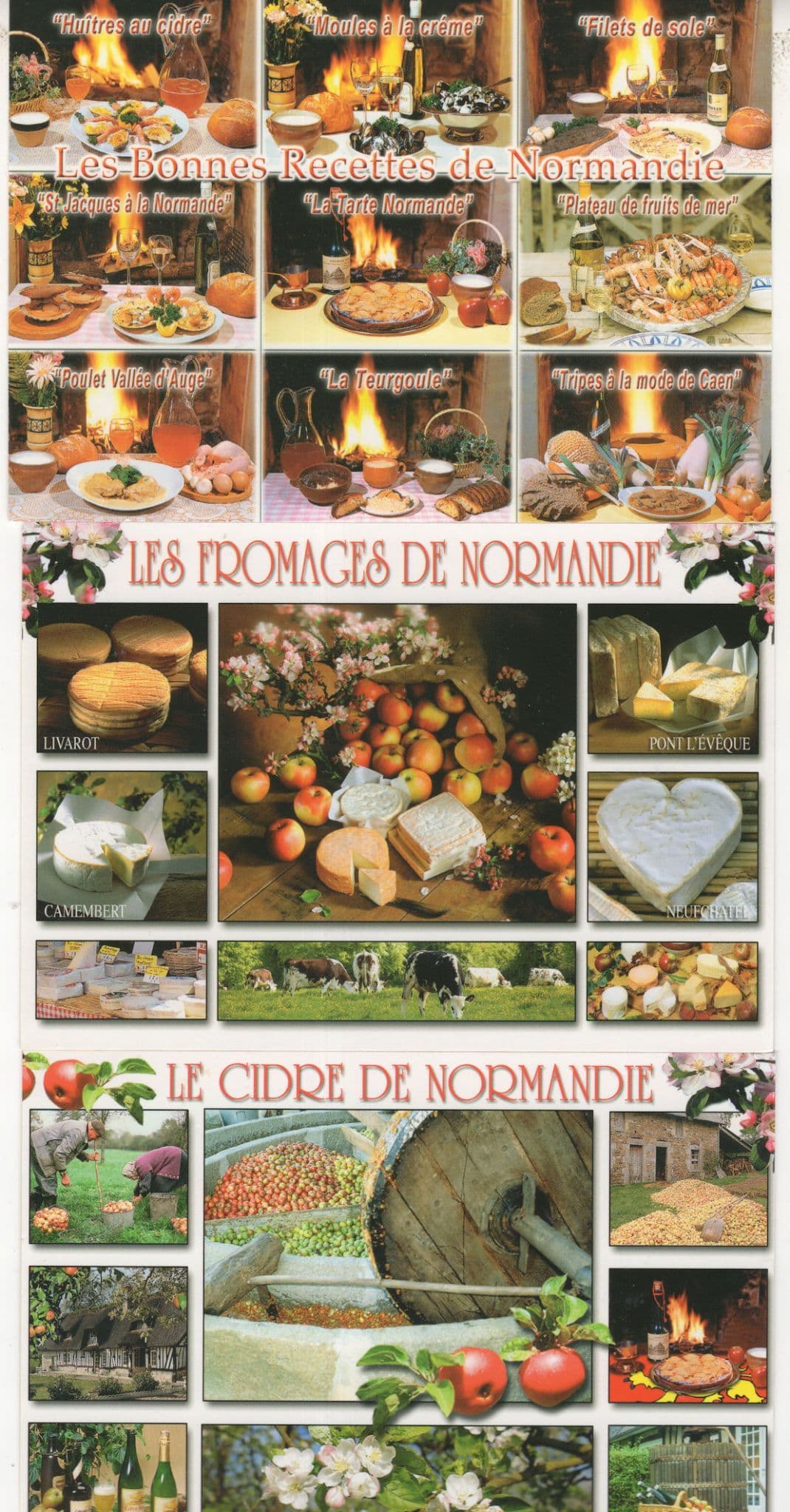 Normandy Cider Cheese Fromage Cookery French 3x Postcard s