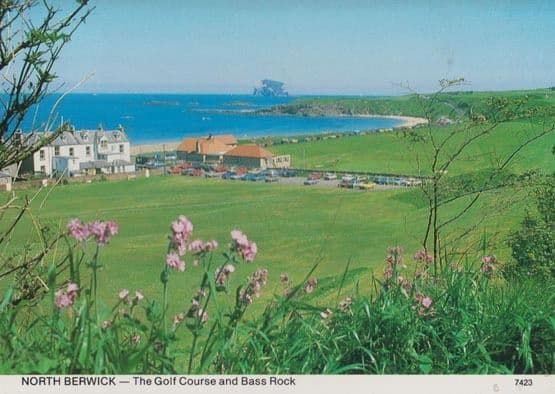 North Berwick Scottish Golf Course Rare 1980s Postcard