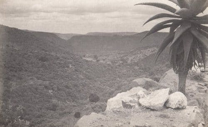 Northern Transvaal Wylies Poort South Africa Soldiers Journey WW2 Signed Military Photo Postcard