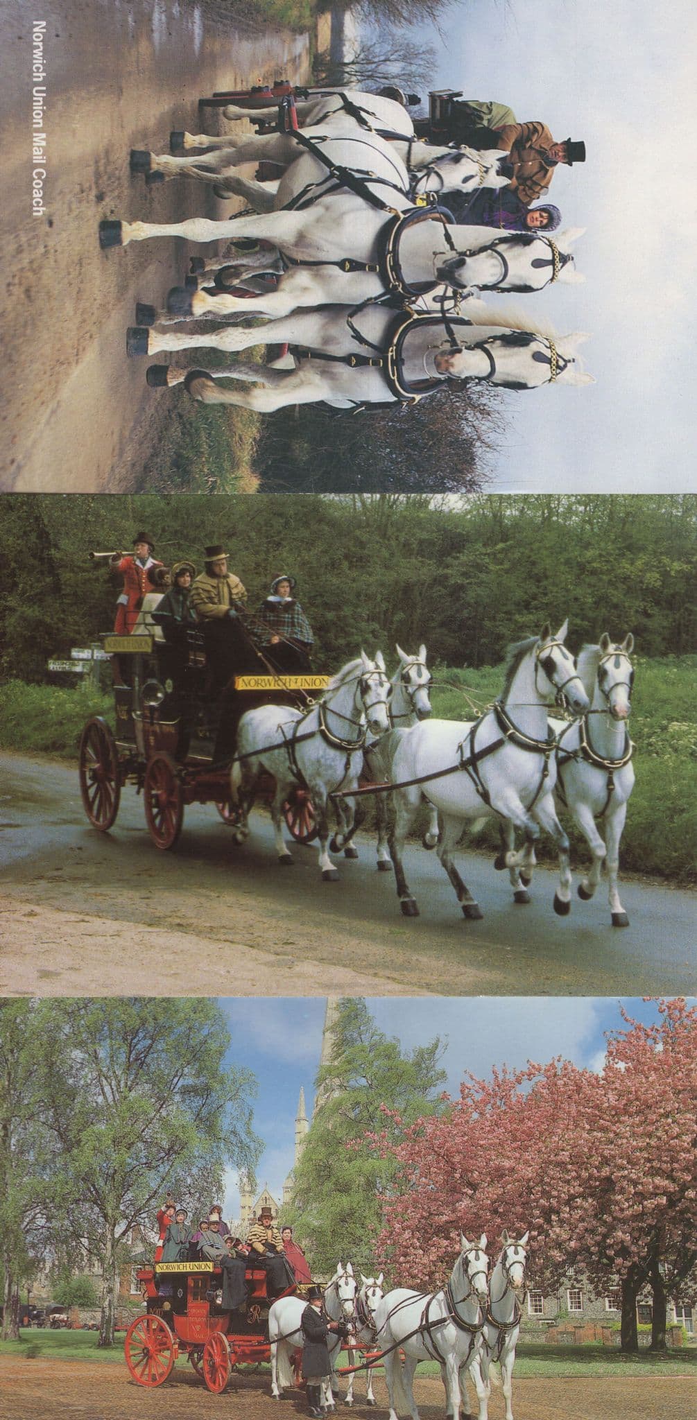 Norwich Mercury Union Mail Coach 3x Norfolk Postcard s