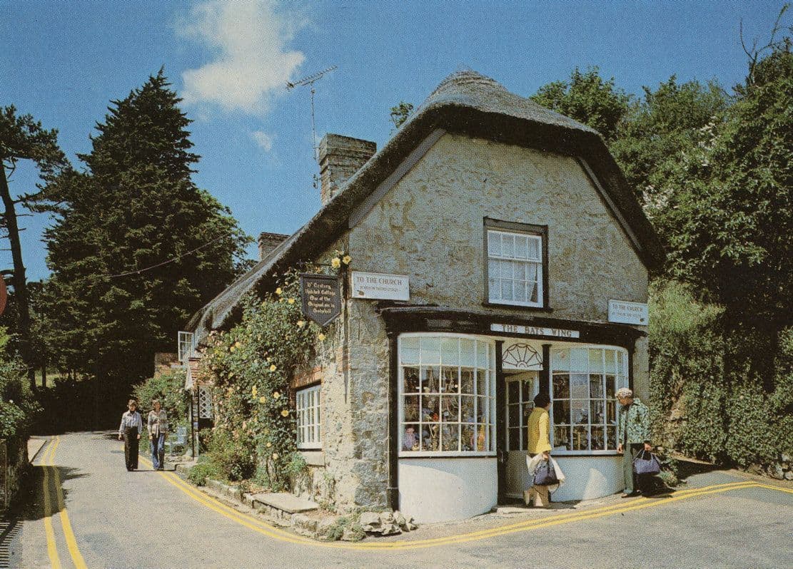 OAPS Talking at The Bats Wing Godshill Surrey Rare 1970s Postcard