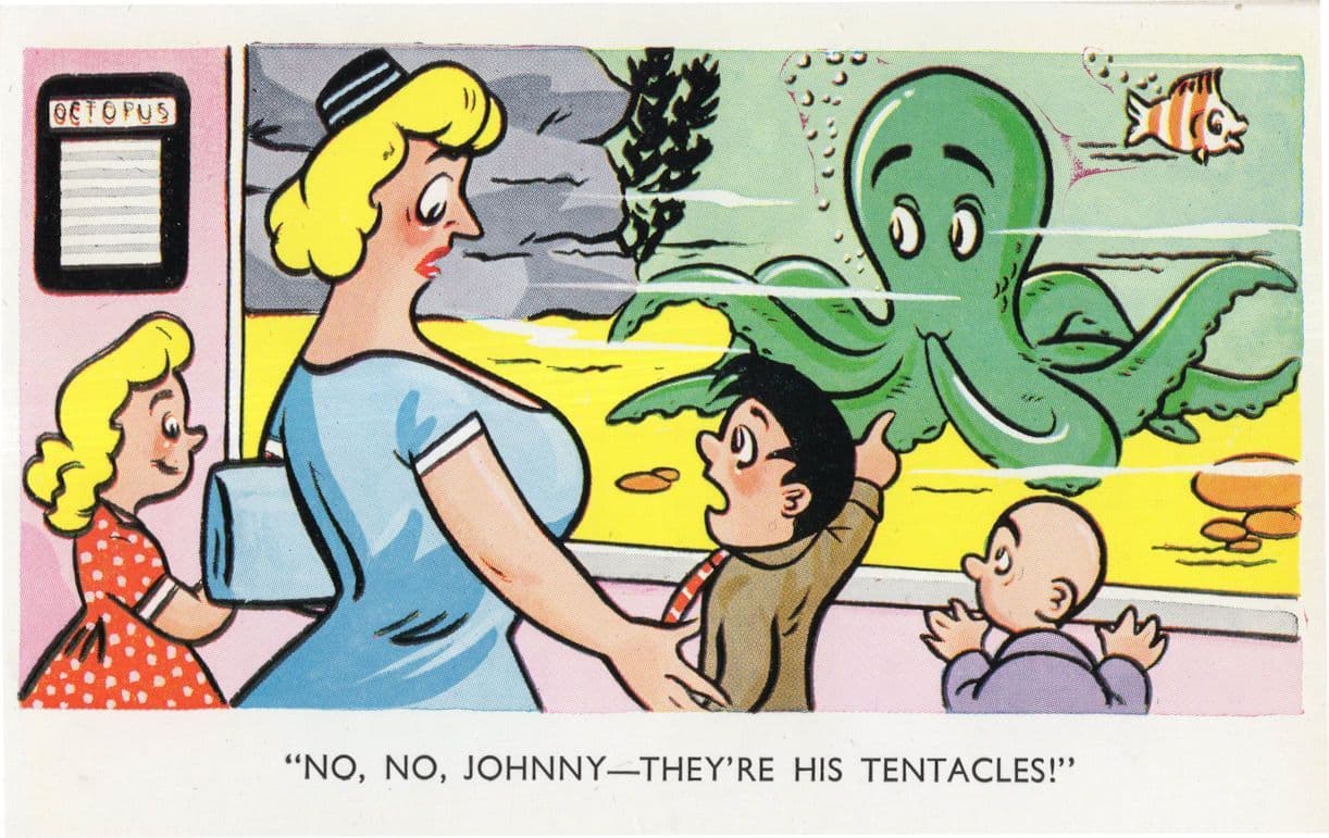 Octopus In Fish Pond Aquarium Tank Sea World Life Comic Postcard
