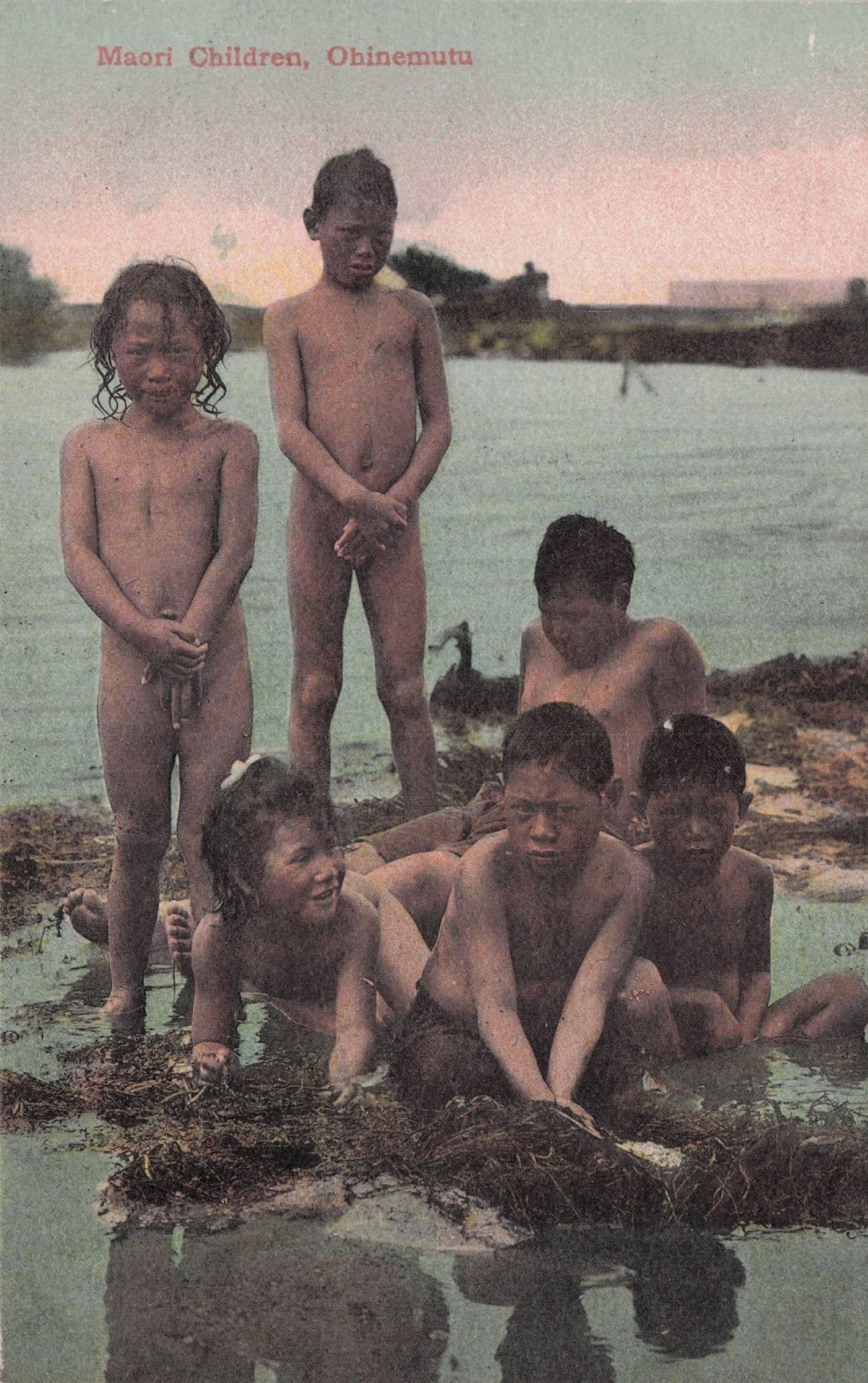 Ohinemutu New Zealand Children Antique Wellington Postcard