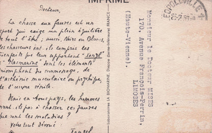 Old African Hunting Postcard Sent To French Doctor & Special Message