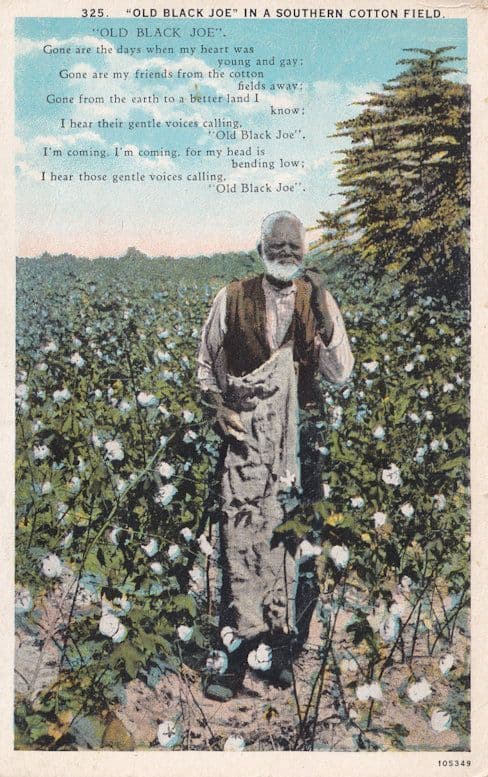 Old Black Joe Southern Cotton Field Old Postcard