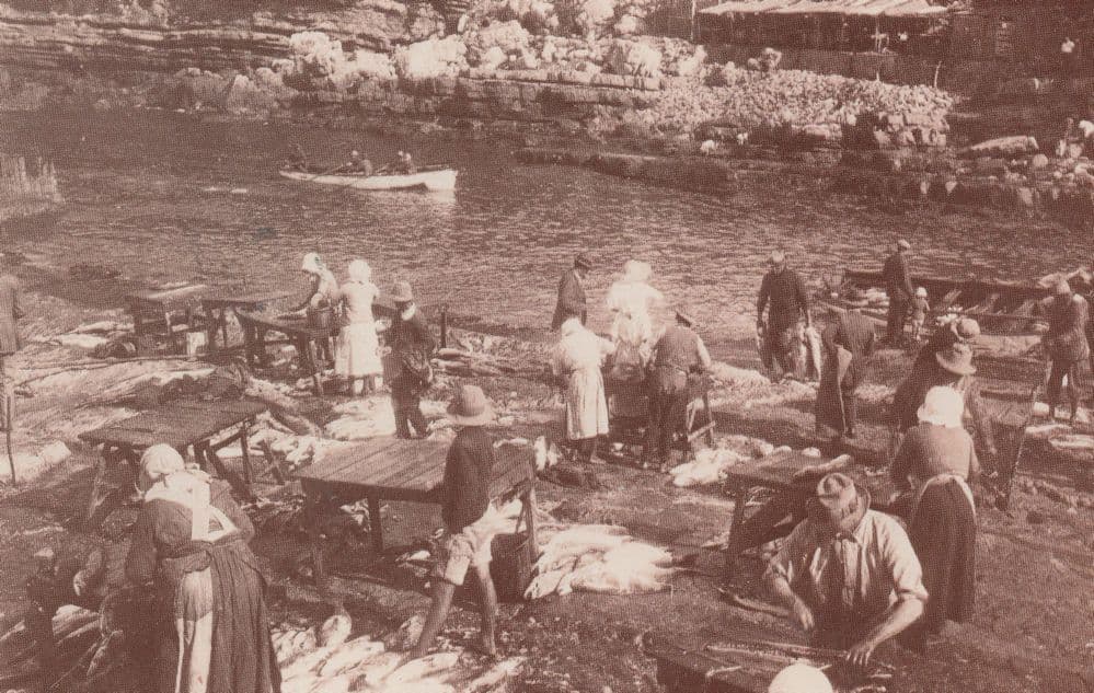 Old Harbour Hermanus in 1905 South African Postcard