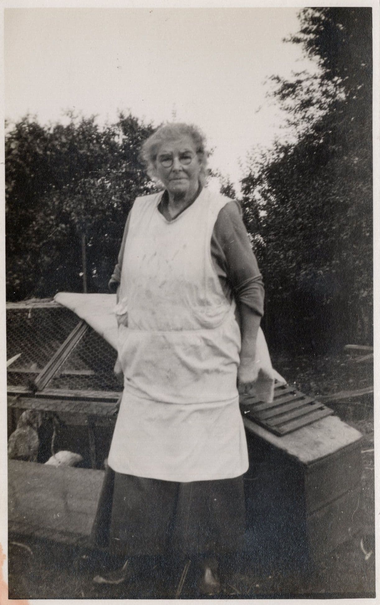 Old Lady By Hen Farming Poultry Cage Chickens Antique Postcard