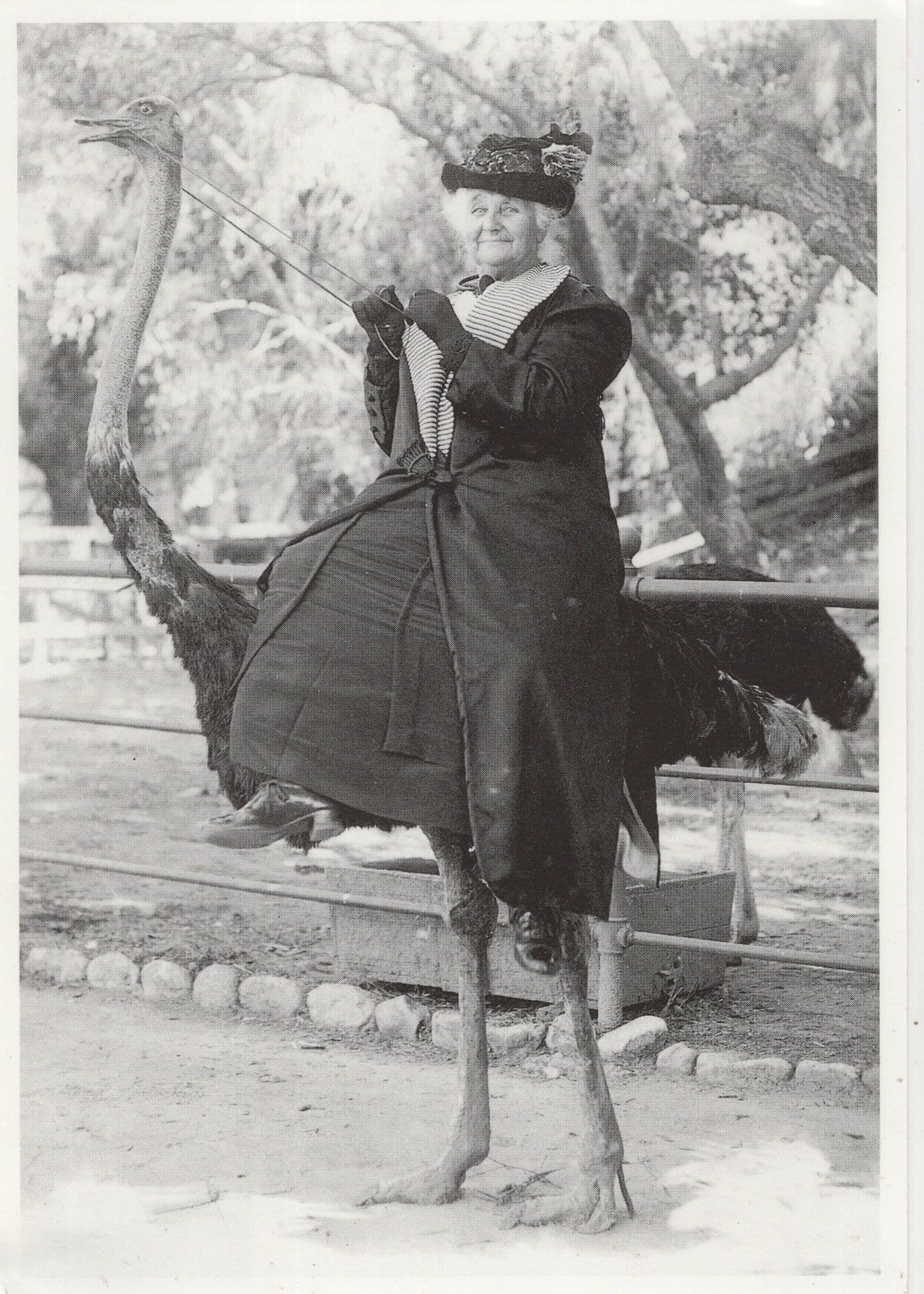 Old Lady Riding Giant Toy Emu Bird Rare Photo Postcard