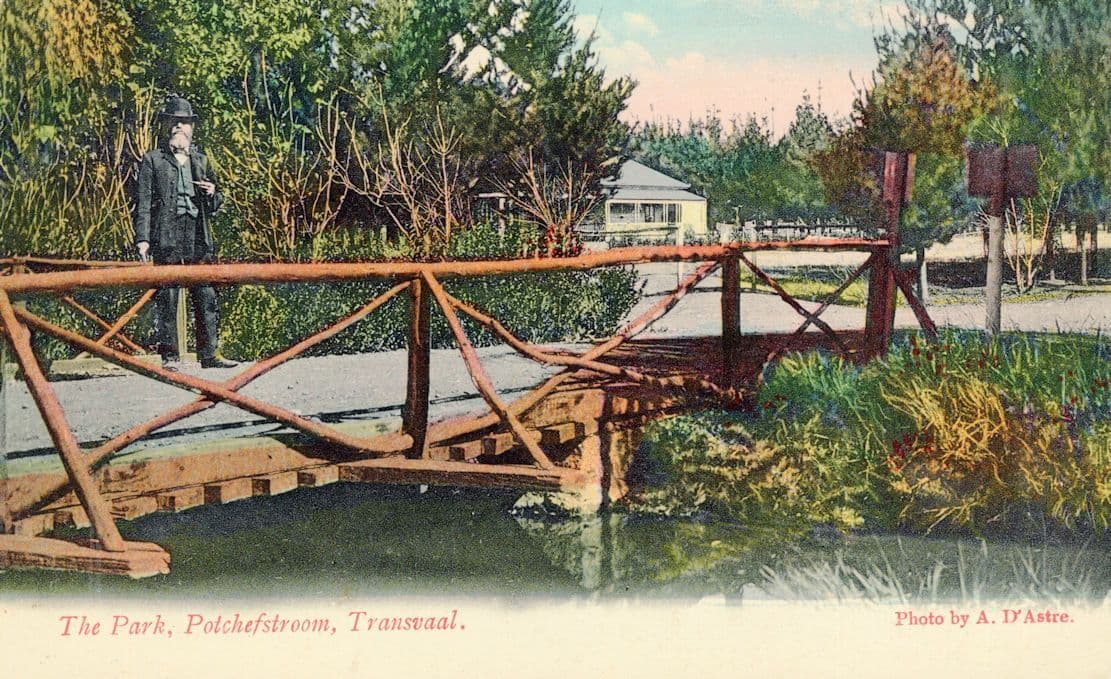 Old Man at The Park Potchefstroom Transvaal South Africa Postcard