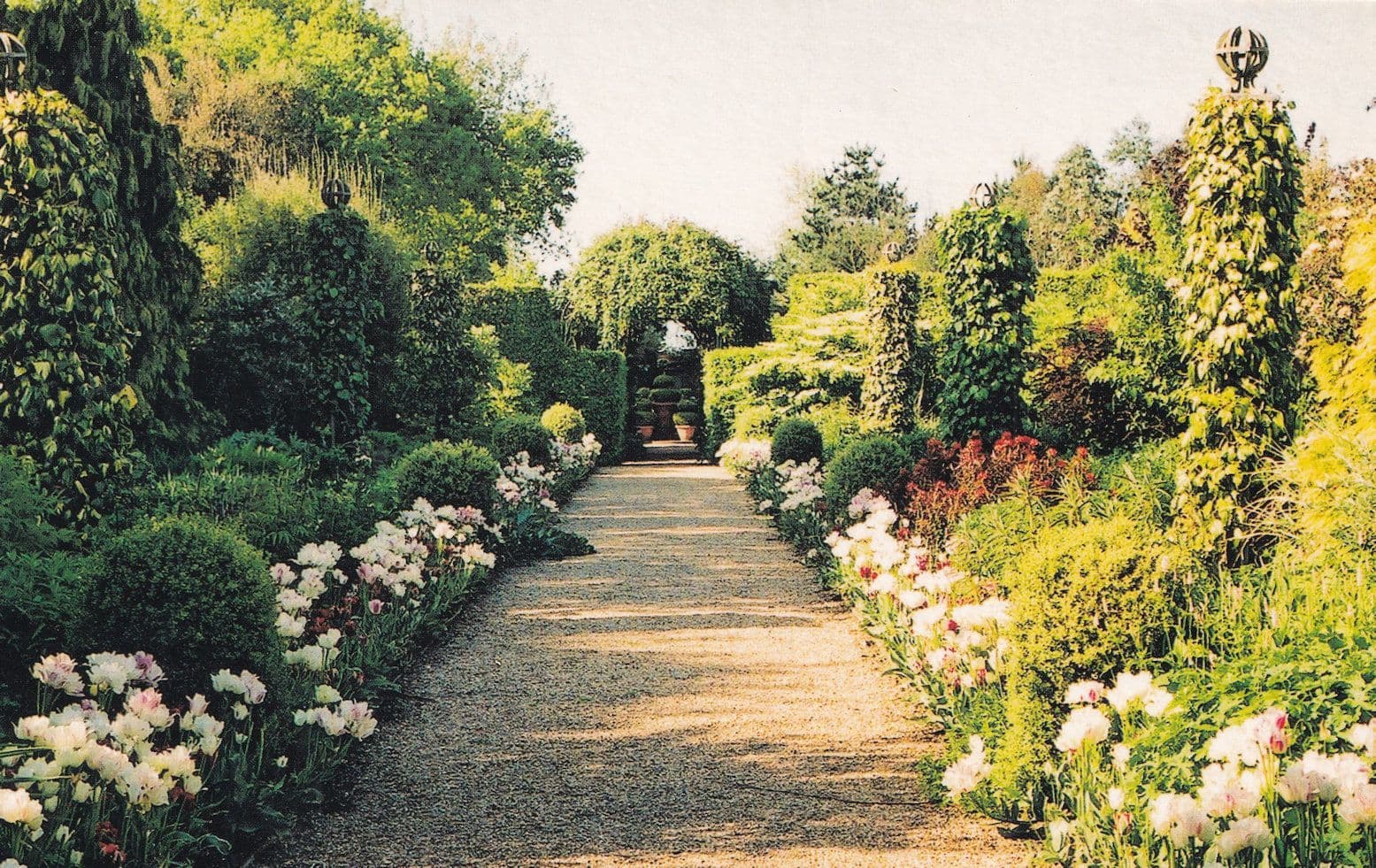 Old Vicarage Gardens East Ruston Gate Stunning Rare Norfolk Postcard