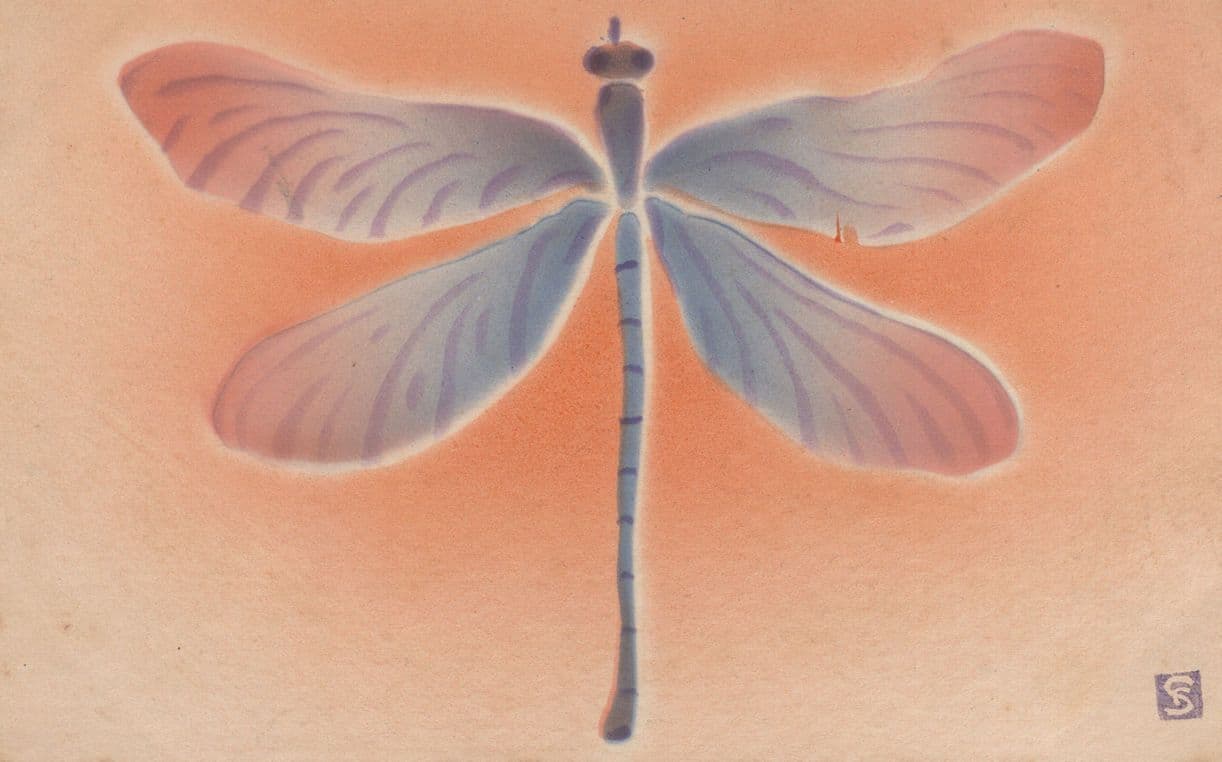 Orange & Blue Winged Dragonfly Old Painting Postcard