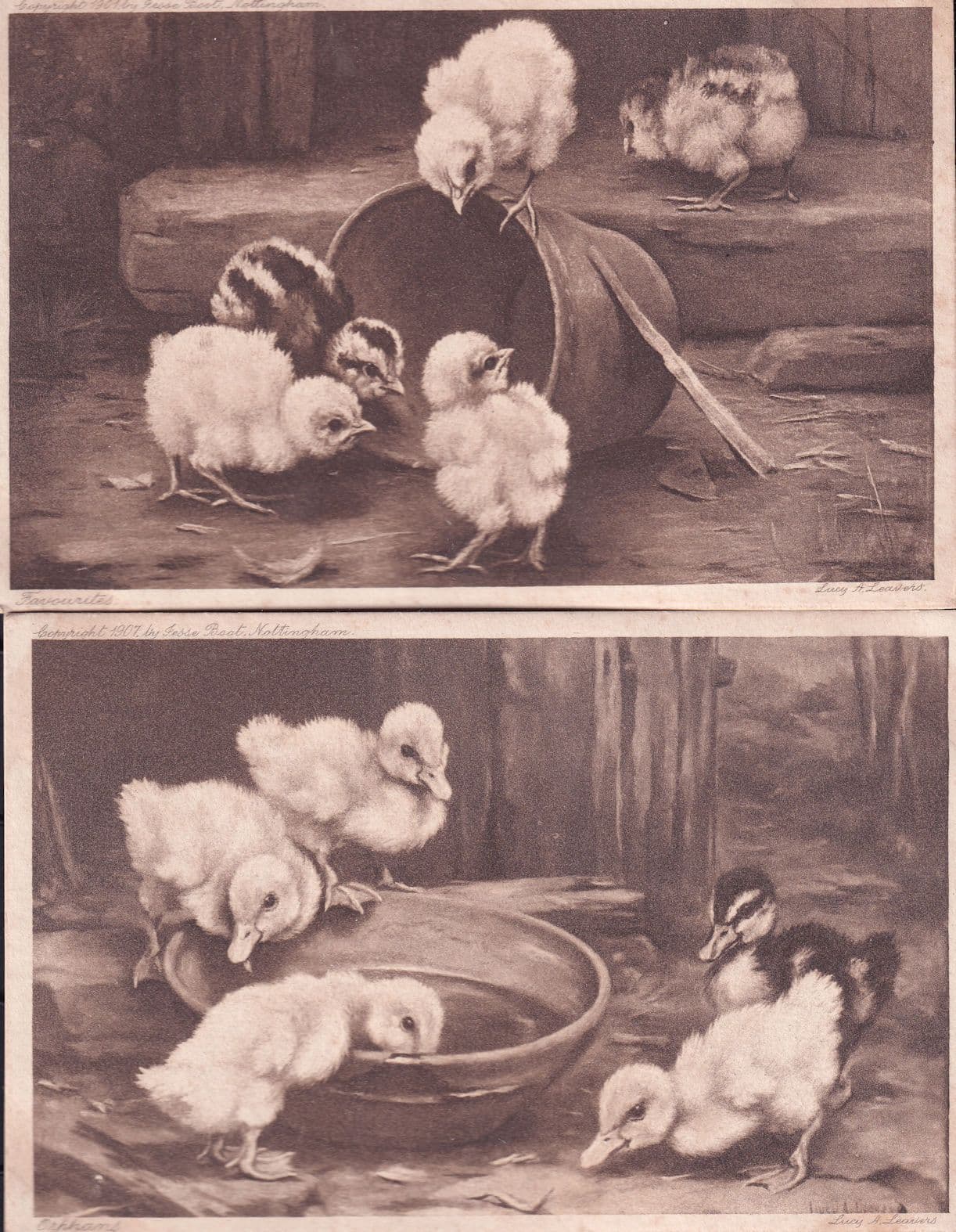 Orphans Chicks Birds Ducks Lucy A Leavers 2x Old Postcard s