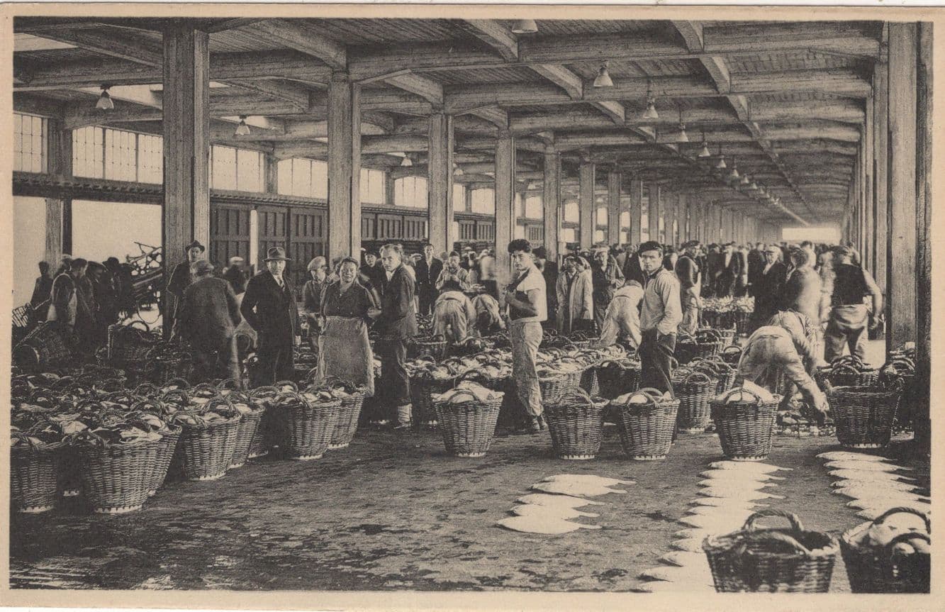 Ostend Fishing Harbour Belgium Antique Fishermen Postcard