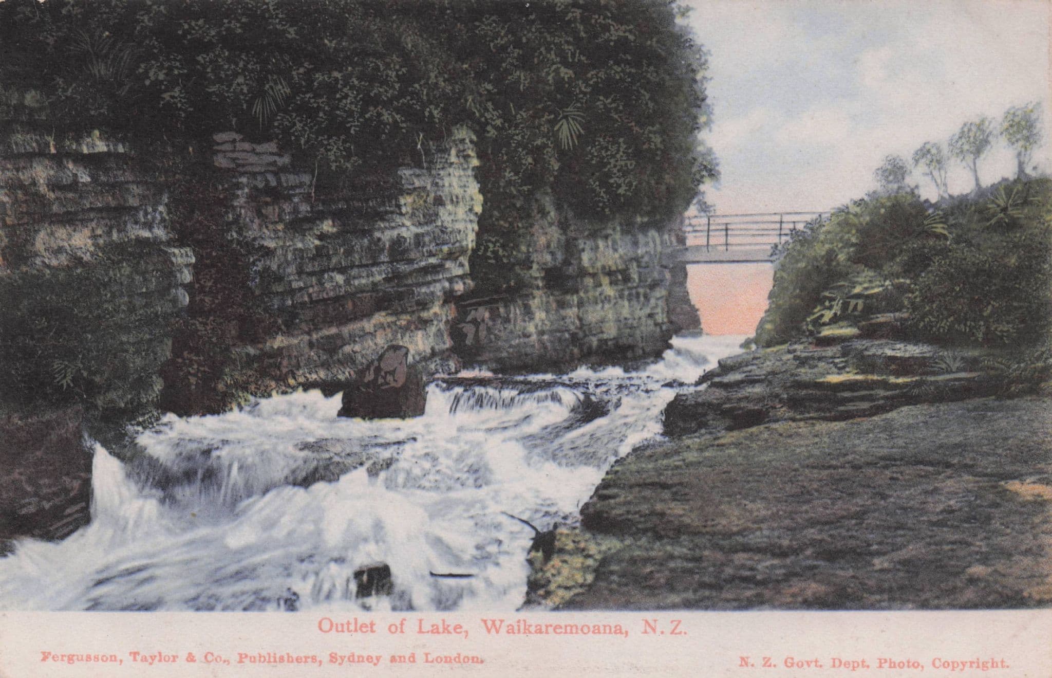 Outlet of Lake Waikaremoano Te Urewera New Zealand Old Postcard