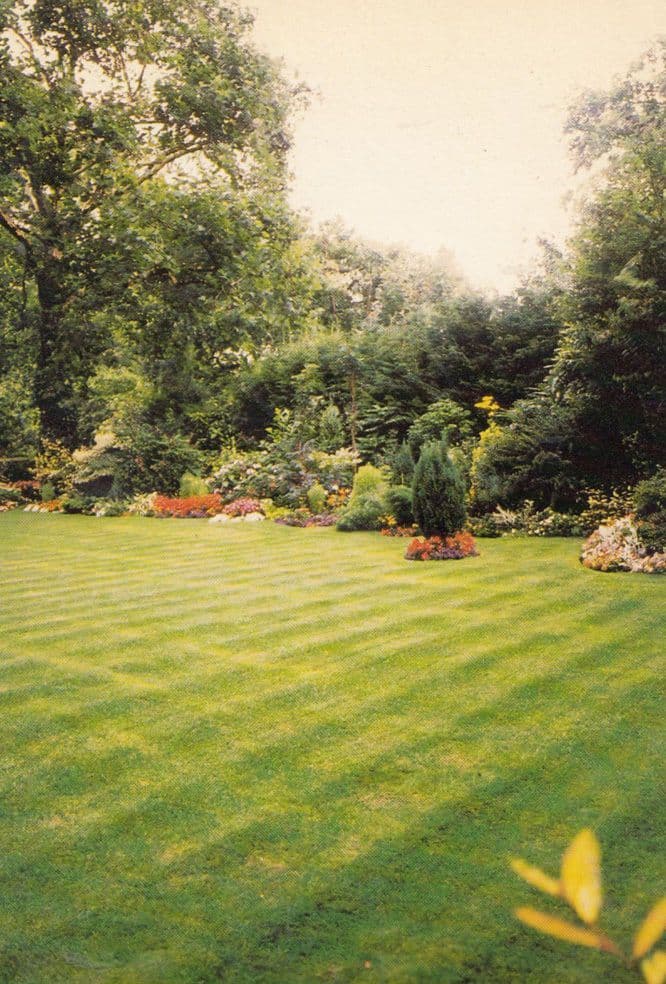 Over-Seas House League Gardens St James Street Park Place London Postcard