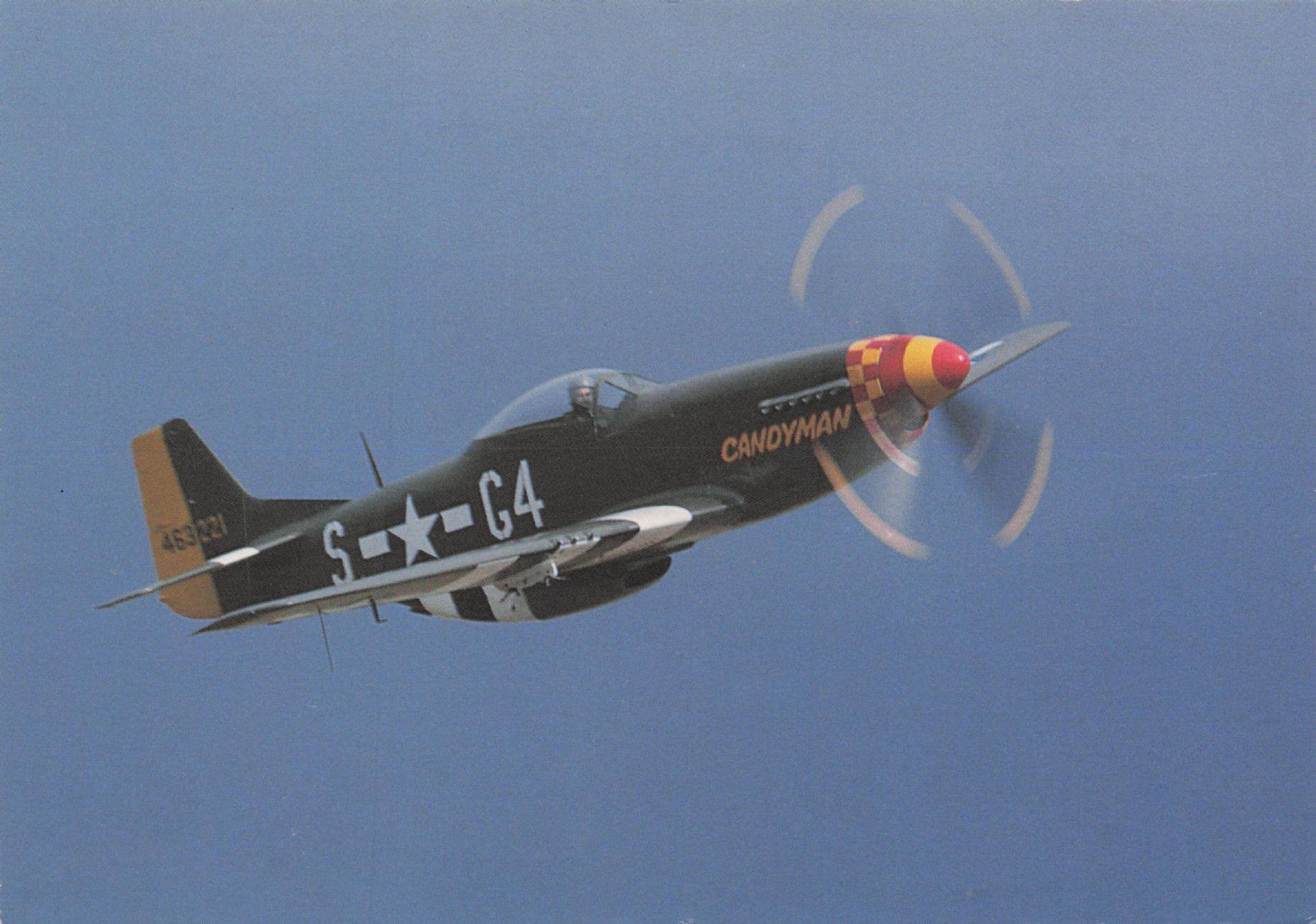P-51D Mustang Military Plane Salmon Camera Photo Postcard