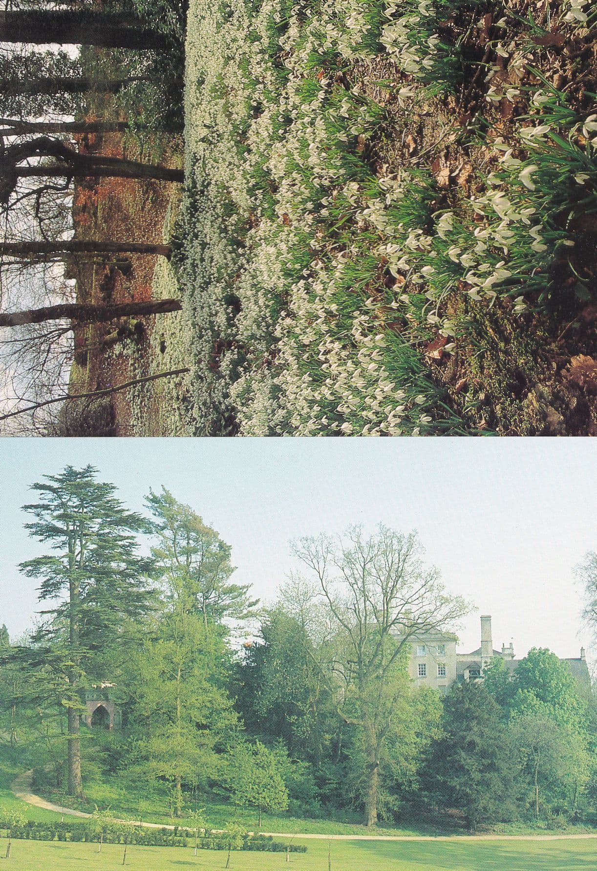 Painswick Rococo Garden Path Snowdrops Gloucester 2x Postcard