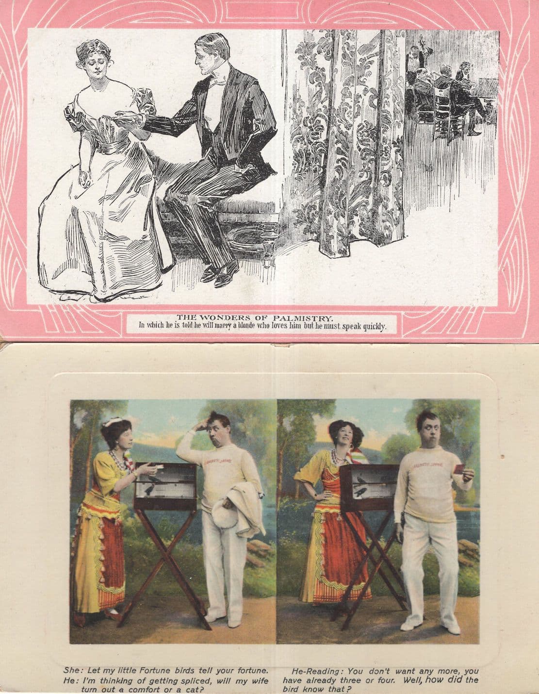 Palmistry Fortune Telling Magic Birds In Cage 2x Old Postcard s
