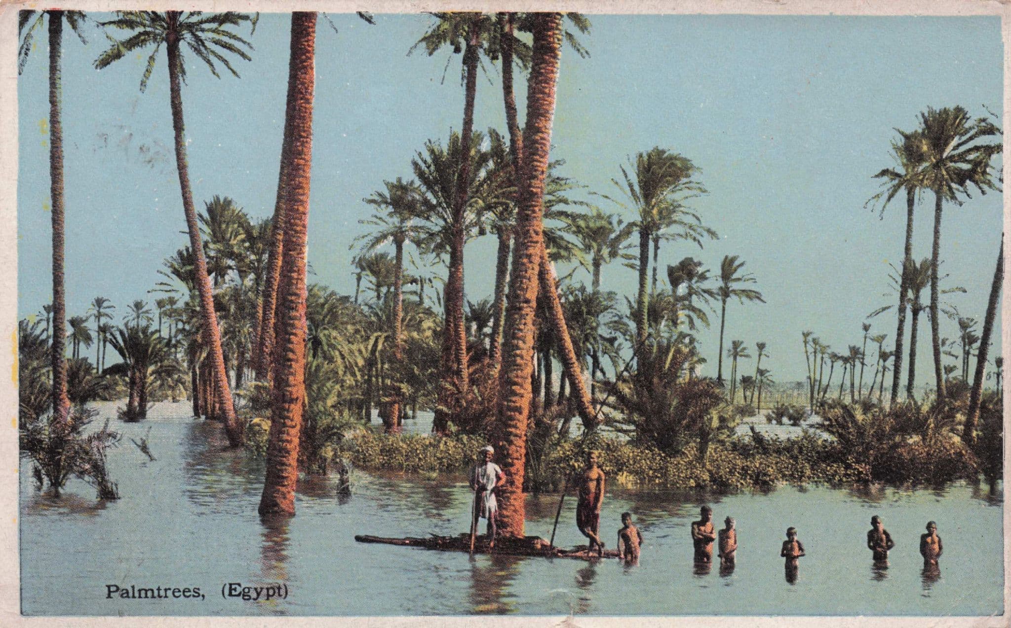 Palmtrees Egypt Canoe Rides Swimming Dainty Novels Old Egyptian Postcard