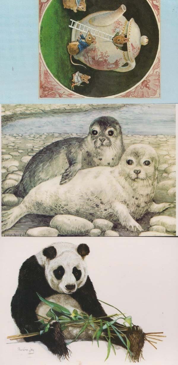Panda Country Cousins Visit Seal Pups 3x Rabbit Animal Medici Postcard s