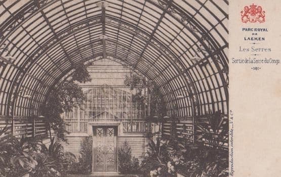 Parc Royal De Laeken Les Serres Serre Du Congo Antique Postcard