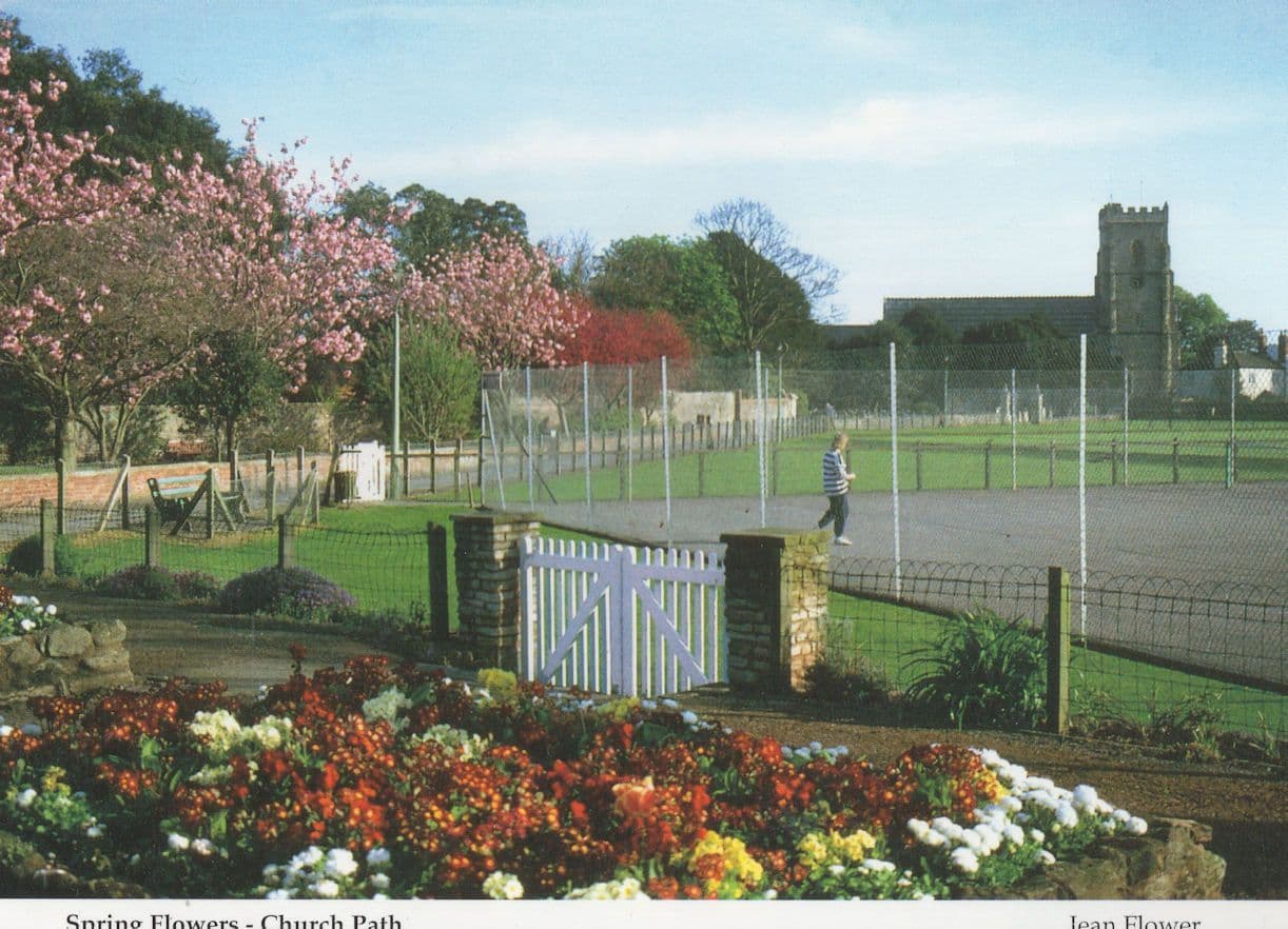Park Bench Tennis Court at Church Path Sidmouth Devon Postcard