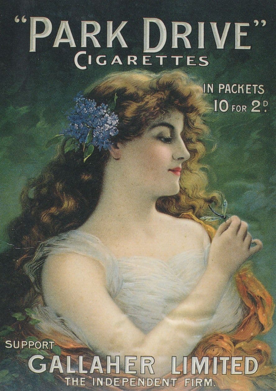Park Drive Cigarettes Glamour Smoking Advertising Postcard