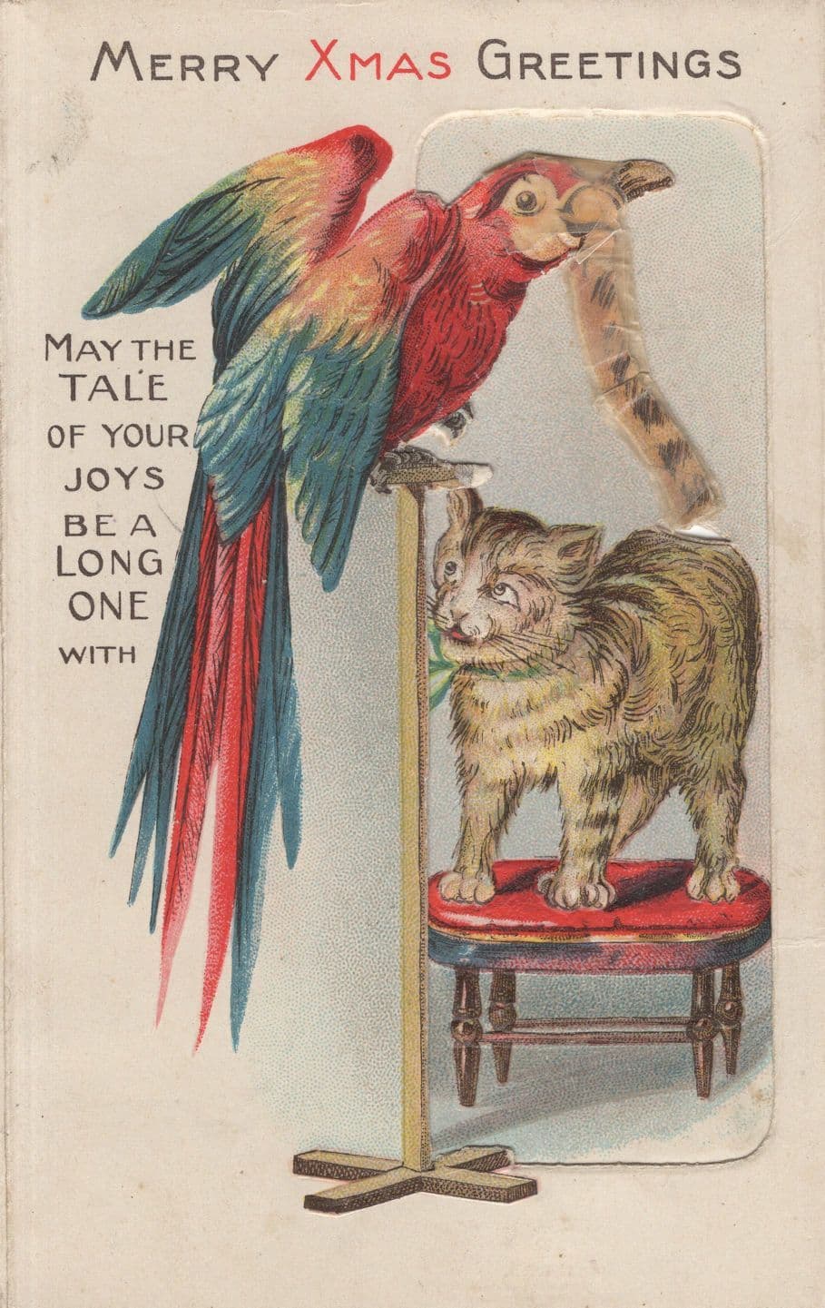 Parrot Pulling Off Cats Tail Comic Bird Cat Old Greeting Card