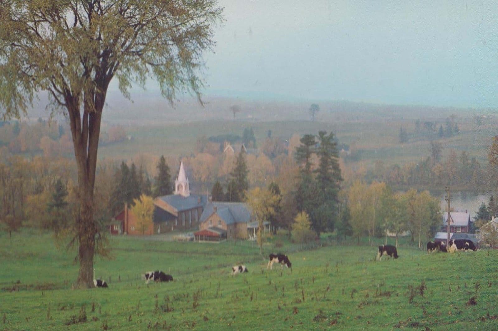 Pastoral Scene St Francois River Lower Richmond Canada Canadian Postcard