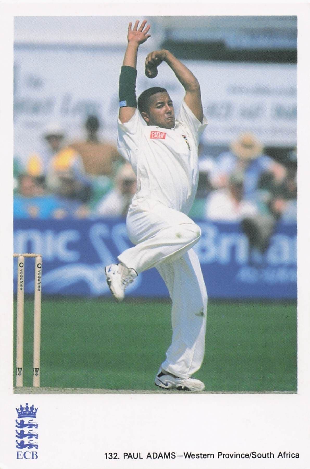 Paul Adams Western Province South Africa TCCB Classic Cricket Photo Postcard