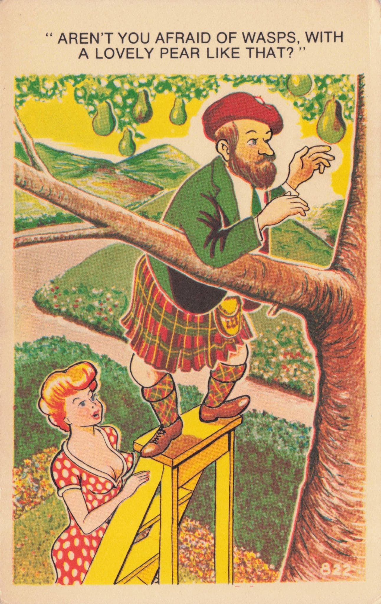 Pear Tree Man Picking Apples & Wasps Sexy Lady Ladder 1970s Comic Postcard