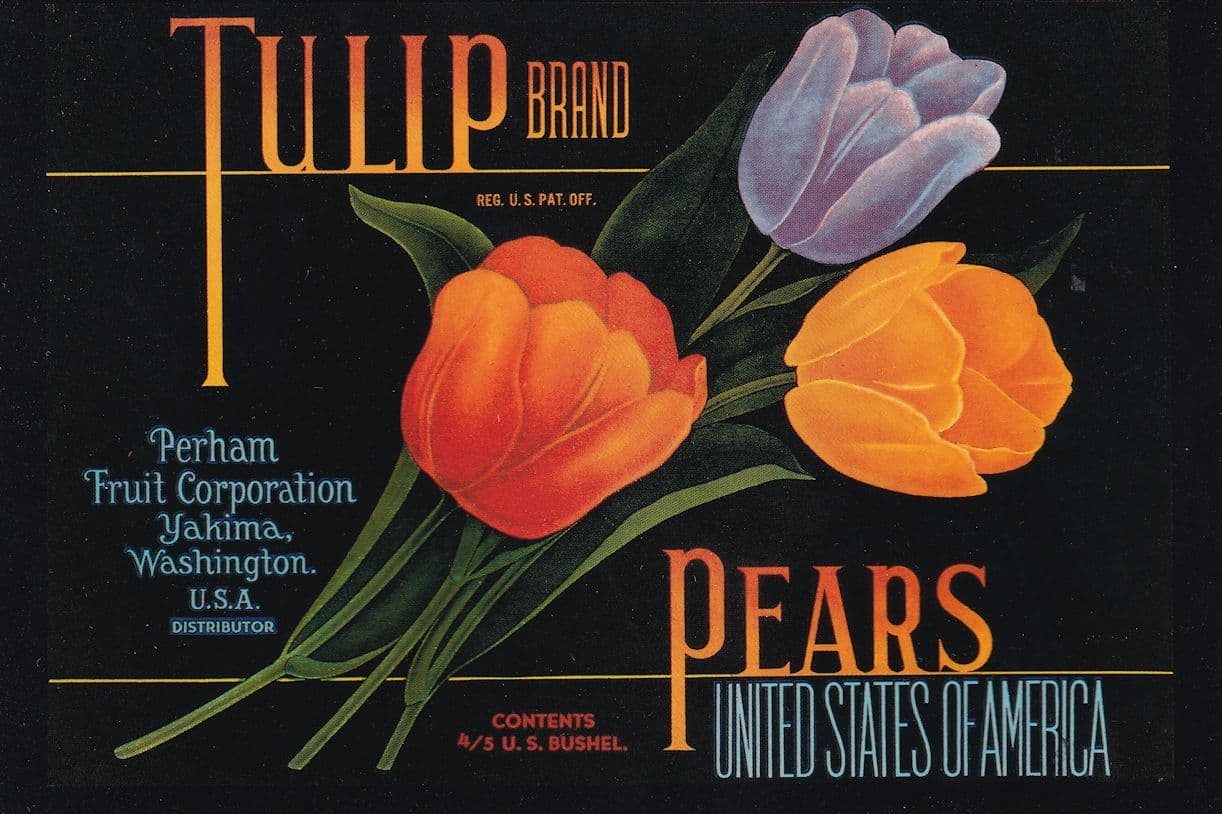 Pears Tulip Brand Washington Fruit Advertising Postcard