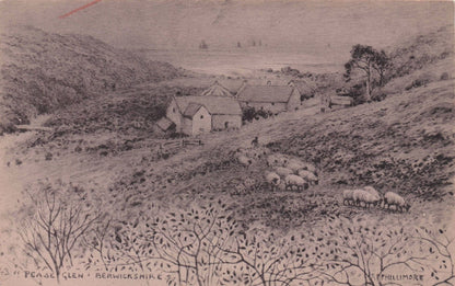 Pease Glen Berwickshire Phillimore Rare Art Postcard & Amazing Reverse